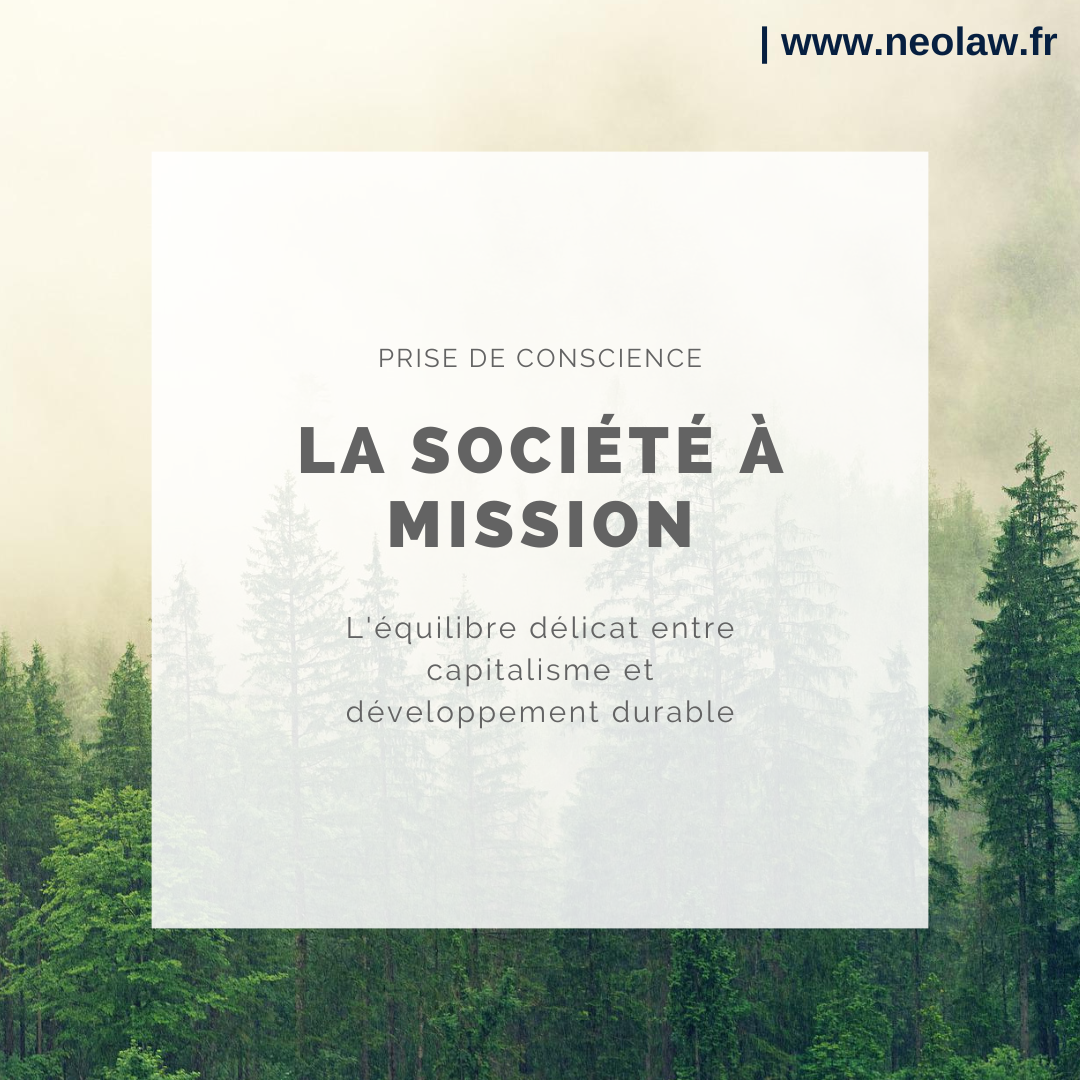 Société à mission, de quoi parle-t-on ?